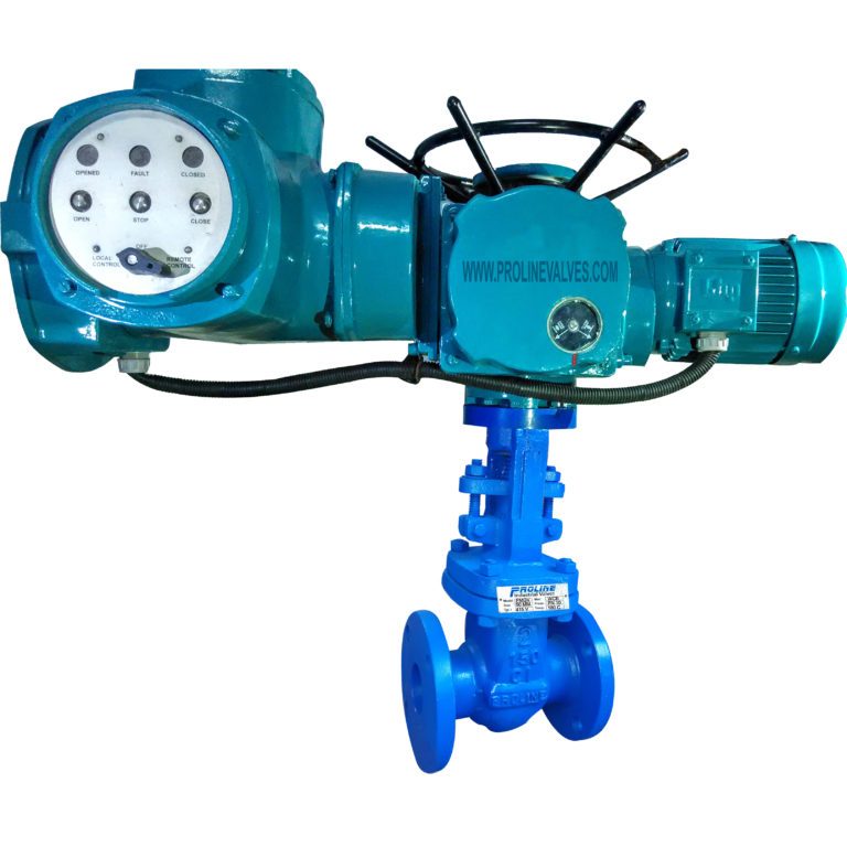 Motorized Gate Valve | Suppliers & Manufacturers India